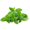 Gel pentru calmarea iritatiilor, cu menta BIO, Life Care®
